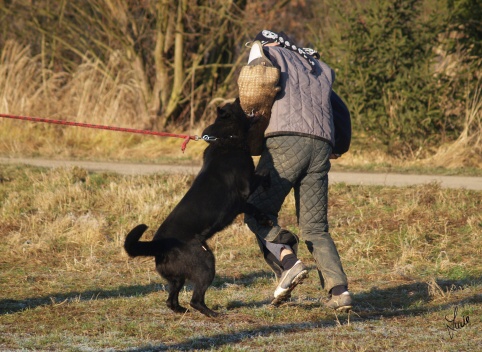 The christmas training 27.12.2006